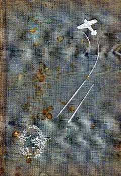 G�nther Pl�schow - Ez�st kondor