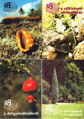 Dr. Tyahun Szabolcs, Wertn Zsolt, dr. Velich Istvn, Czka Sarolta, Dr. Schmidt Gbor, cs Emke - 6 db a 88 Sznes Oldal sorozatbl: A tengerek kszereirl + A sziklakerti nvnyekrl + A dligymlcskrl + Az rkzldekrl s a fenykrl + A dszfkrl + A rzskrl