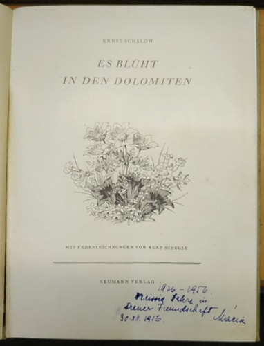 Ernst Schälow - Es blüht in den Dolomiten