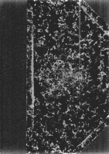 Das moderne Decameron