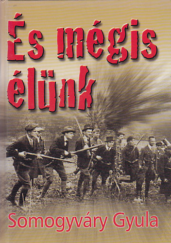 Somogyv�ri Gyula vit�z - �s m�gis �l�nk