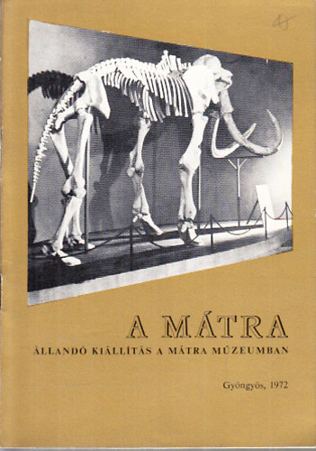 Nagy Gyula - A M�tra (�lland� ki�ll�t�si vezet�)