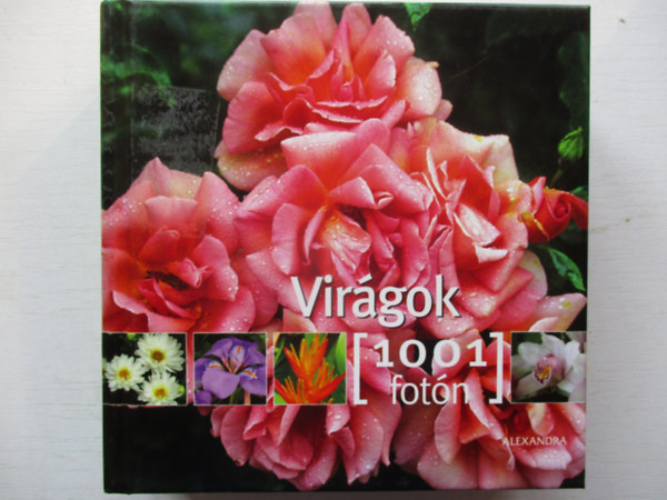 Michel Viard - Virágok 1001 fotón