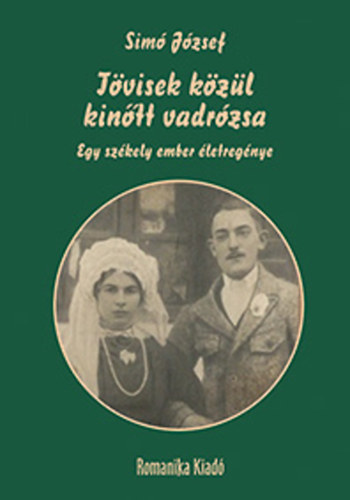 Sim Jzsef - Tvisek kzl kintt vadrzsa