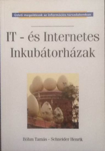 Schneider Henrik Böhm Tamás - IT- és internetes inkubátorházak