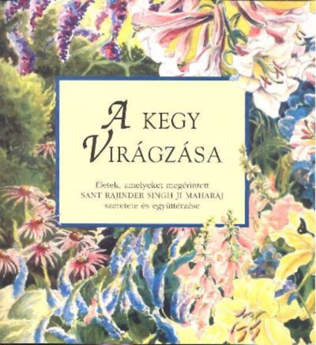 Sant Rajinder Singh - A KEGY VIR�GZ�SA