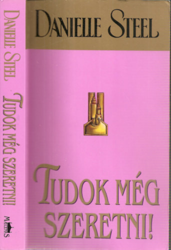 Danielle Steel - Tudok még szeretni!