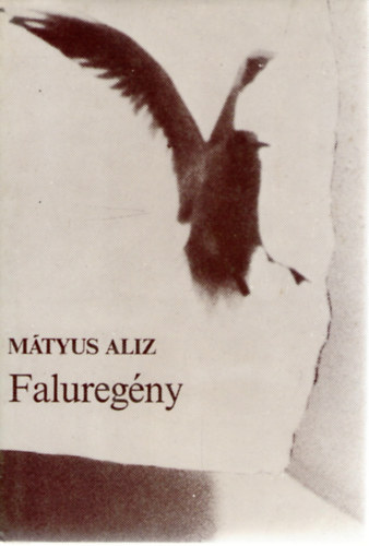 Mtyus Aliz - Faluregny