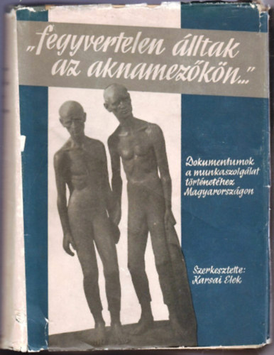 Karsai Elek (szerk.) - "fegyvertelen álltak az aknamezőkön..." II. (Dokumentumok a munkasolgálat történetéhez Magyarországon II.)