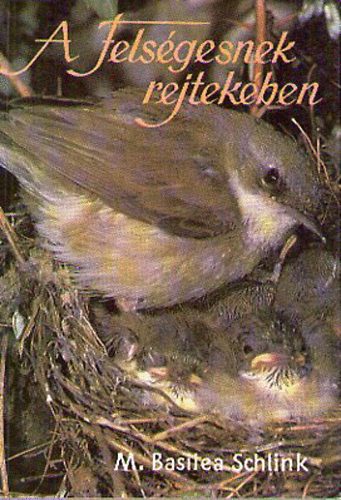 M.Basitea Schlink - A Felségesnek rejtekében