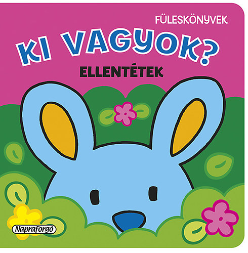 Ki vagyok? - Ellenttek