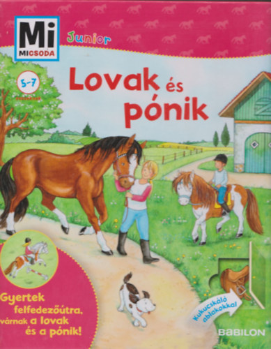 Tatjana Marti - Lovak és pónik - Mi micsoda Junior 4.