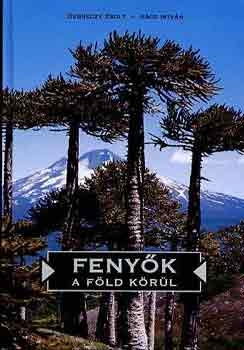 Debreczy Zsolt-R�cz Istv�n - Feny�k a f�ld k�r�l