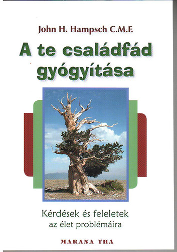 John H. Hampsch C.M.F. - A te csal�df�d gy�gy�t�sa