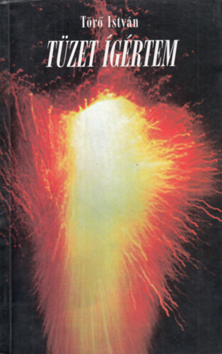 T�r� Istv�n - T�zet �g�rtem