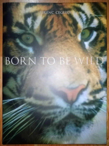Ferenc Cegledi - Born to be Wild