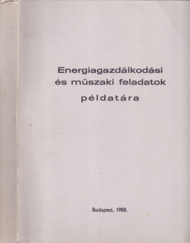 Domszky Kristf (szerk.) - Energiagazdlkodsi s mszaki feladatok pldatra