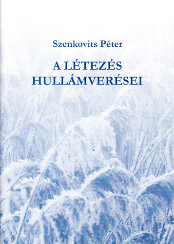 Szenkovits P�ter - A l�tez�s hull�mver�sei (dedik�lt)