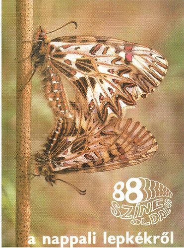 Ronkay L�szl� - a nappali lepk�kr�l