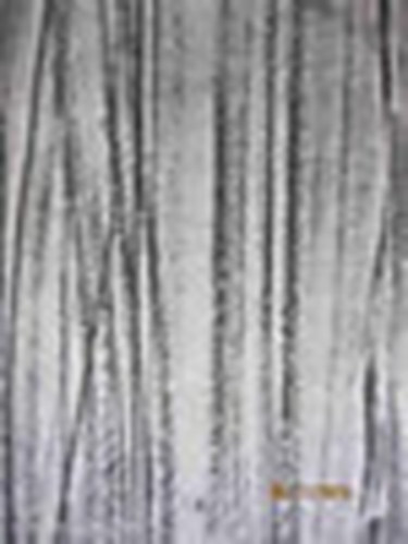 Mauersberger - Madarak (Urnia llatvilg)