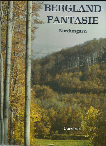 L�z�r Istv�n - Bergland-Fantasie Nordungarn
