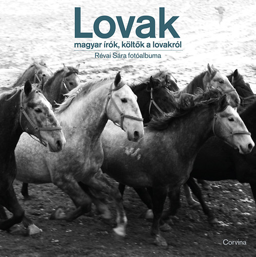 Lovak - Magyar �r�k, k�lt�k a lovakr�l
