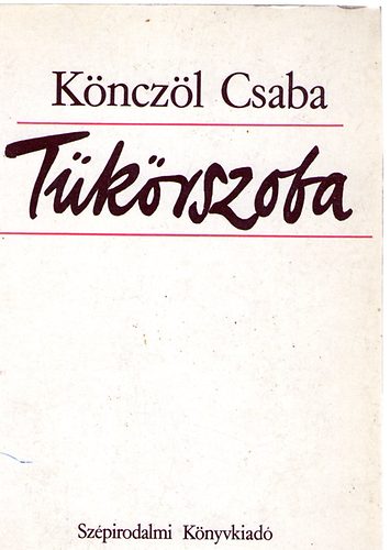 K�ncz�l Csaba - T�k�rszoba