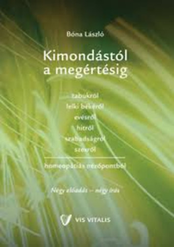 Bna Lszl - Kimondstl a megrtsig