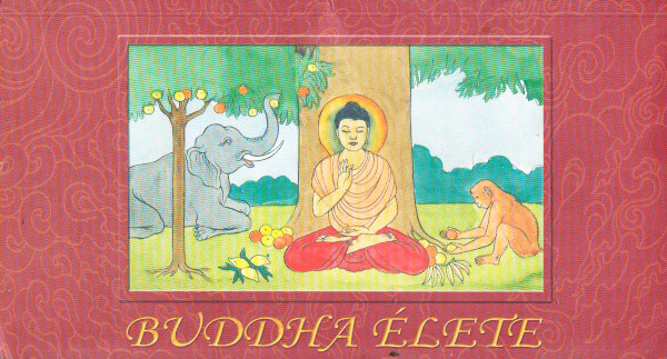 Kuzder Rita  (ford.) - Buddha lete