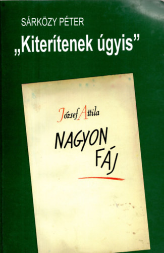 Sárközy Péter - 'Kiterítenek úgyis' (József Attila kései költészete)