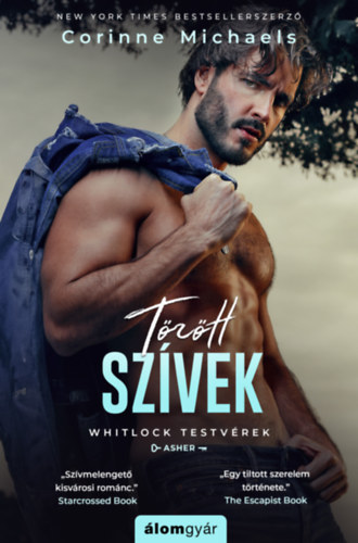 Corinne Michaels - Trtt szvek