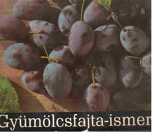 Brzik Sndor dr.  (szerk.) - Gymlcsfajta-ismertet