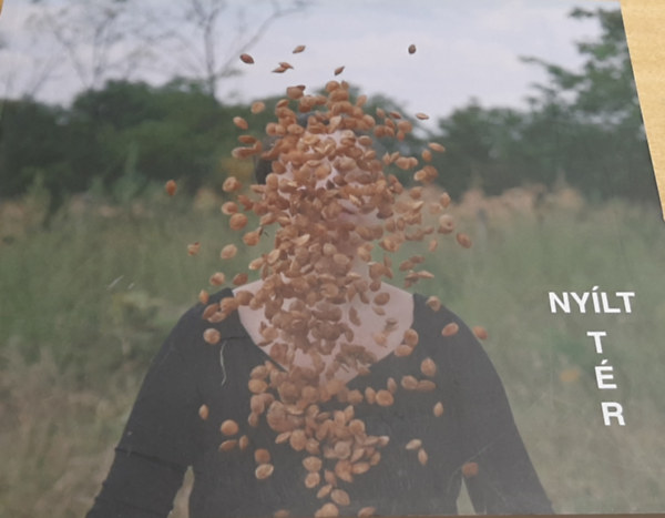 Nylt tr - kistrsgnk a vizulis mvszet szemvel