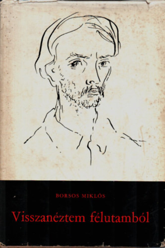 Borsos Mikls - Visszanztem flutambl