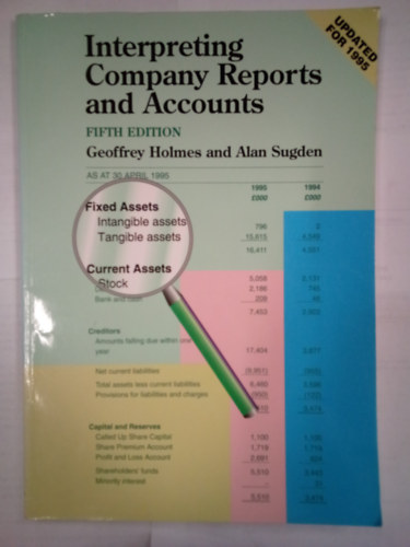 Alan Sugden Geoffrey Holmes - Interpreting Company Reports and Accounts