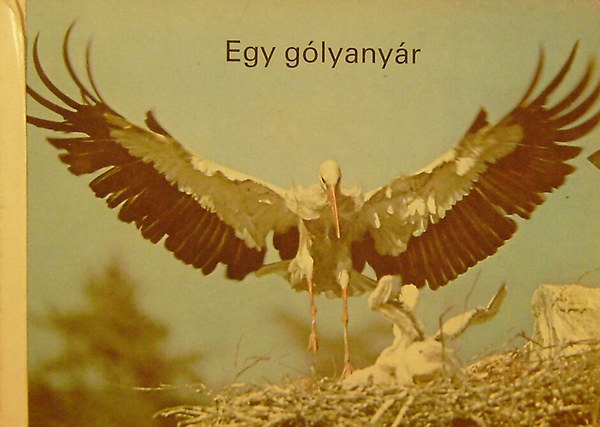 Harald Lange - Egy g�lyany�r