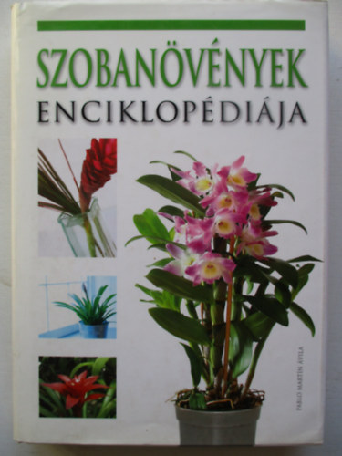 Pablo Martn vila - Szobanvnyek enciklopdija