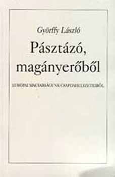 Győrffy László - Pásztázó, magányerőből