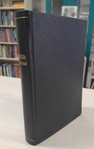 Gustave Flaubert - Szent Antal megkisértetése (Tevan)