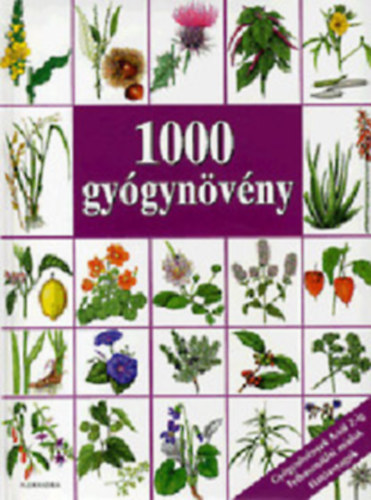 Dr. Hans W. Kothe - 1000 gygynvny
