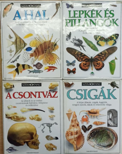 6 kötet a Szemtanú sorozatból: A pénz - Találmányok - A hal - Lepkék és pillangók - A csontváz - Csigák