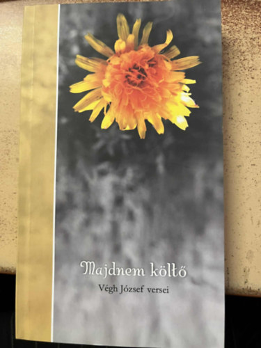 Végh József - Majdnem költő