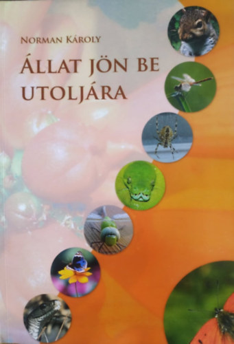 Norman K�roly - �llat j�n be utolj�ra (mes�k, essz�k, novell�k, jegyzetek k�l�nf�le �l�l�nyekr�l)