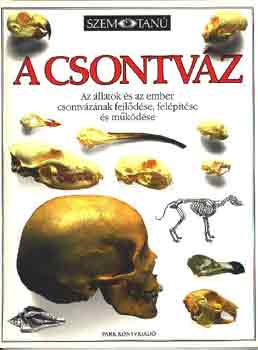 Steve Parker - A csontv�z (Szemtan�)