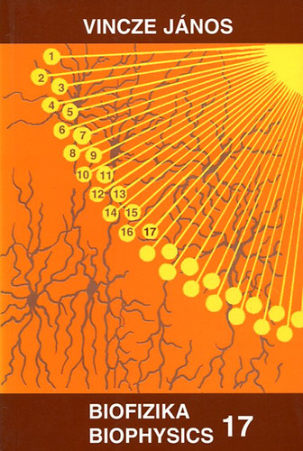 Vincze János - Biofizika 17 - Biophysics