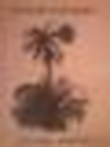 Stancsics Erzs�bet - Szavaim - sz�neim