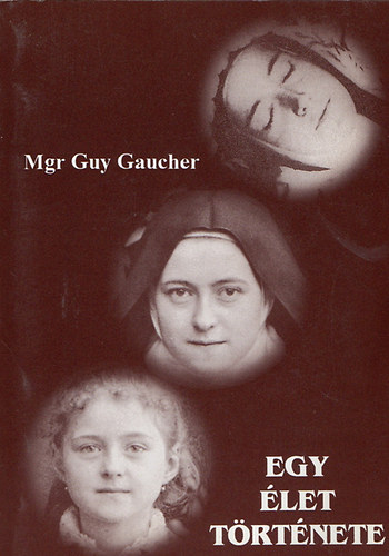 Mgr Guy Gaucher - Egy let trtnete - Martin Terz (1873-1897)