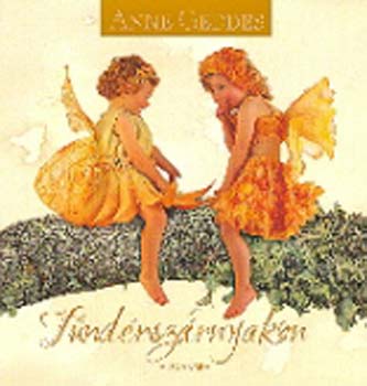 Anne Geddes - Tündérszárnyakon