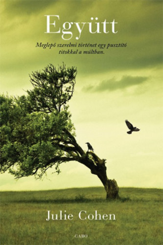 Julie Cohen - Együtt
