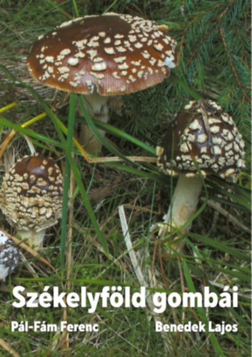 Benedek Lajos P�l-F�m Ferenc - Sz�kelyf�ld gomb�i